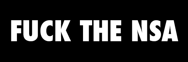 Fuck The NSA Sticker