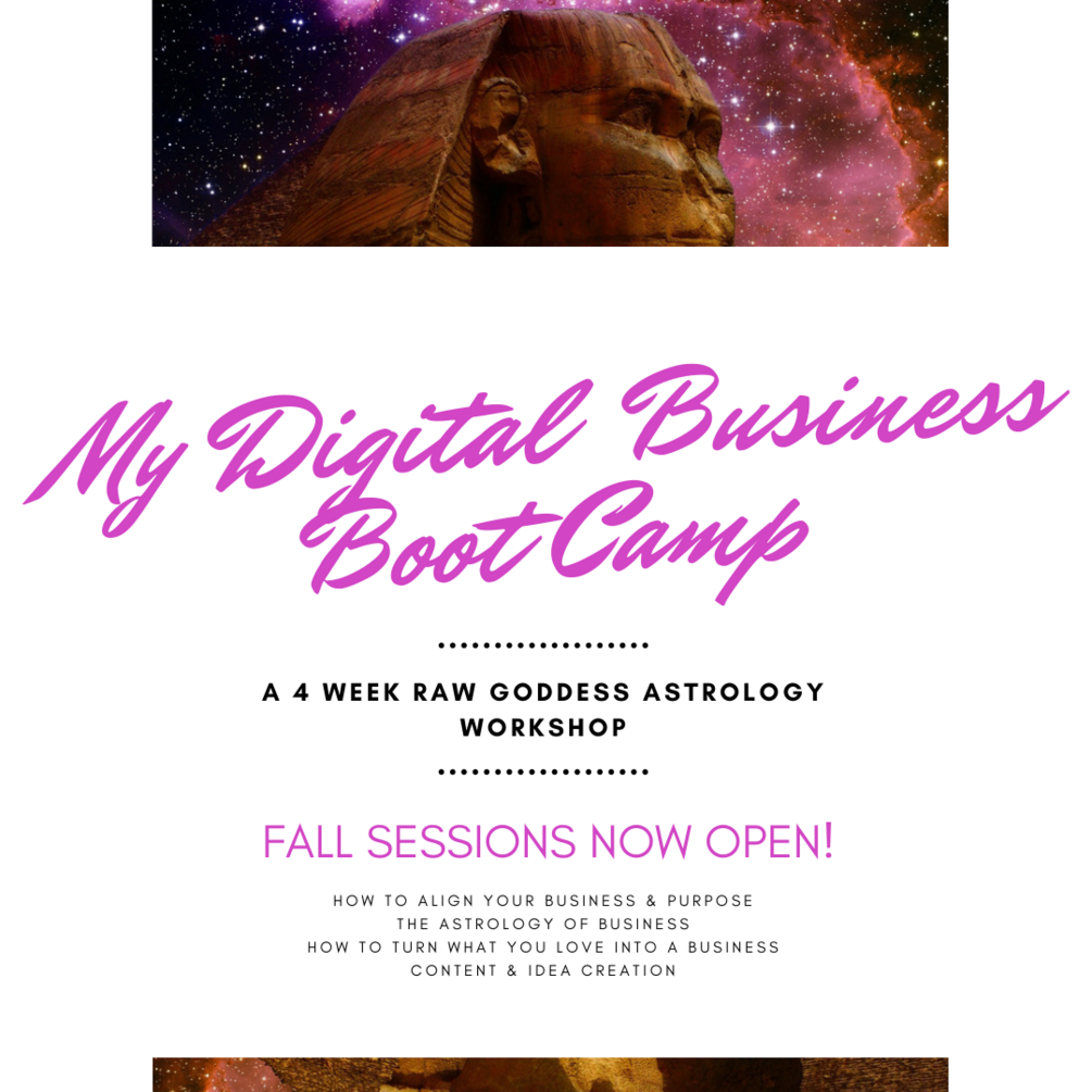 My Digital Business Bootcamp
