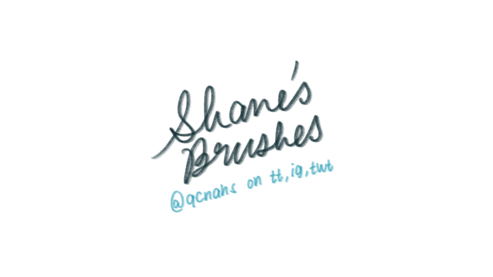 Shane’s Brushes