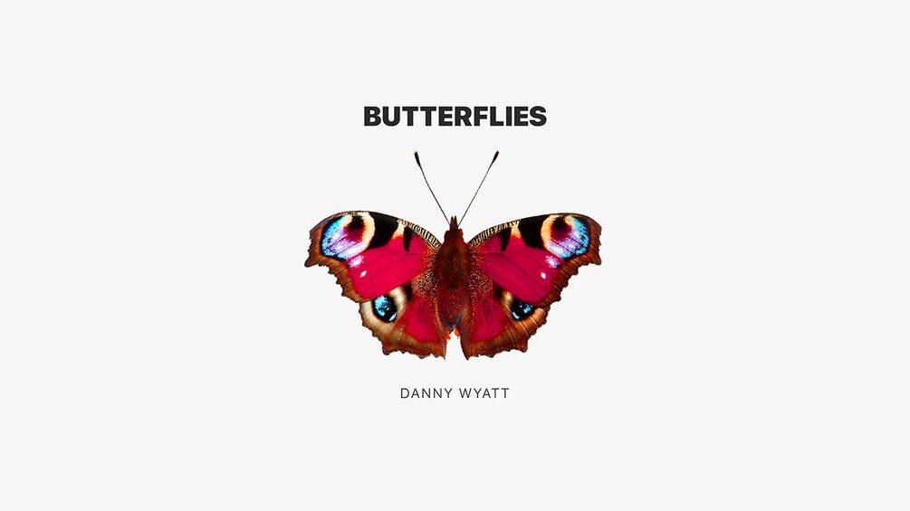 Butterflies (MP3 / WAV / Individual Tracks)