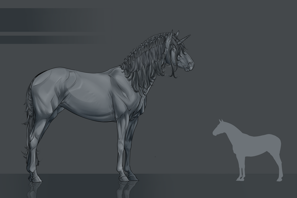 Equine base (5 or more if you want to pay more)