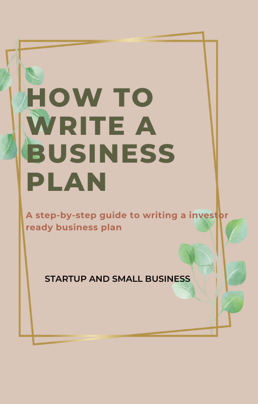 Step by step guide to writing a investor ready business plan ebook and
