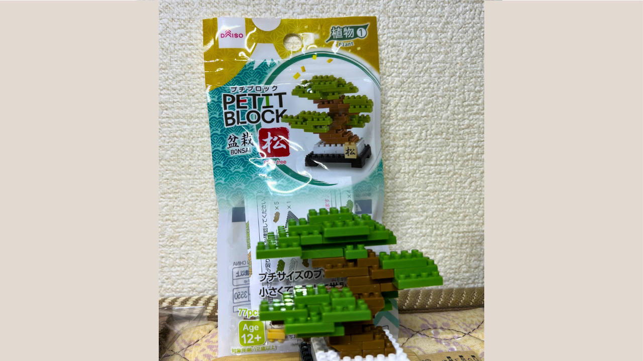 Petit Block Bonsai Pine Tree