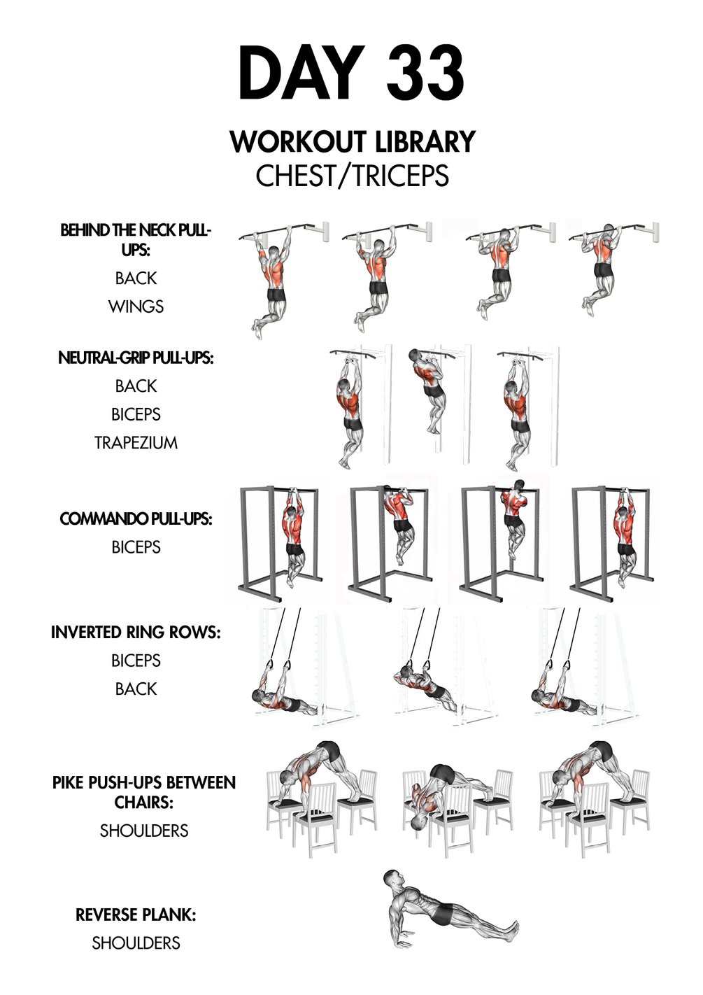 10 WEEK MUSCLE BUILDING WORKOUT PROGRAM