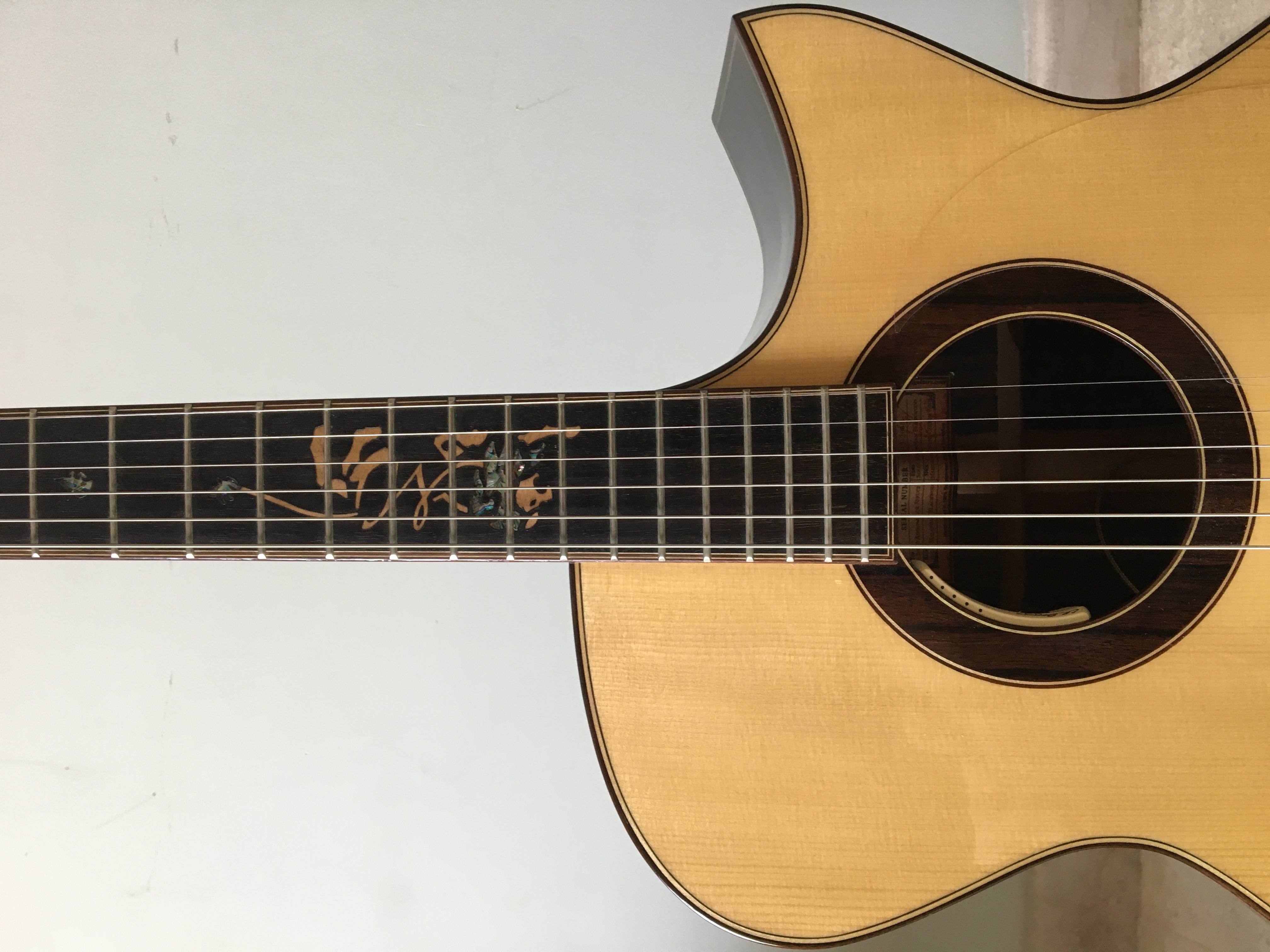 MAESTRO ACOUSTIC GUITAR IRS!