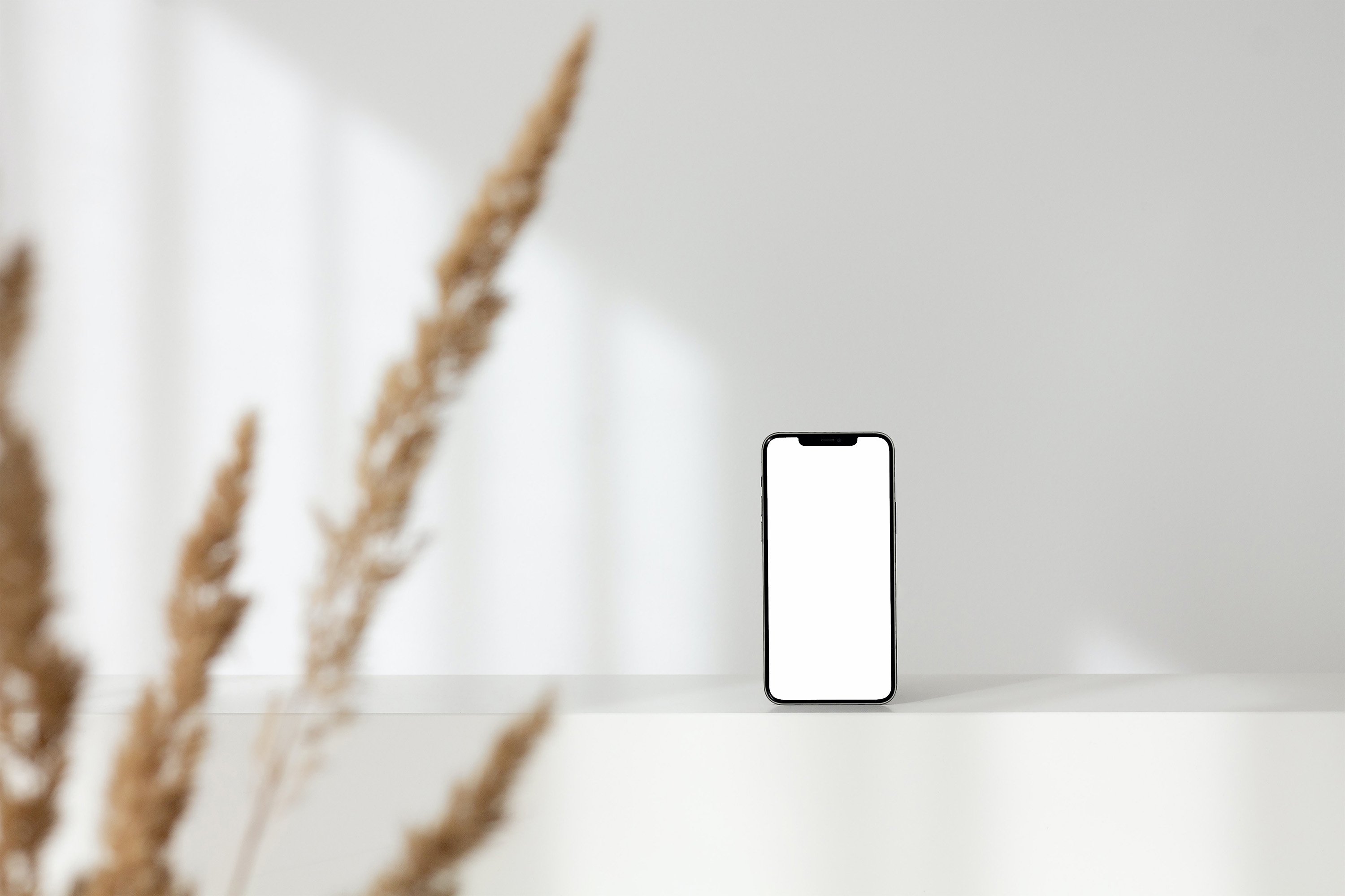 Free IPhone X Mockup Mo.26