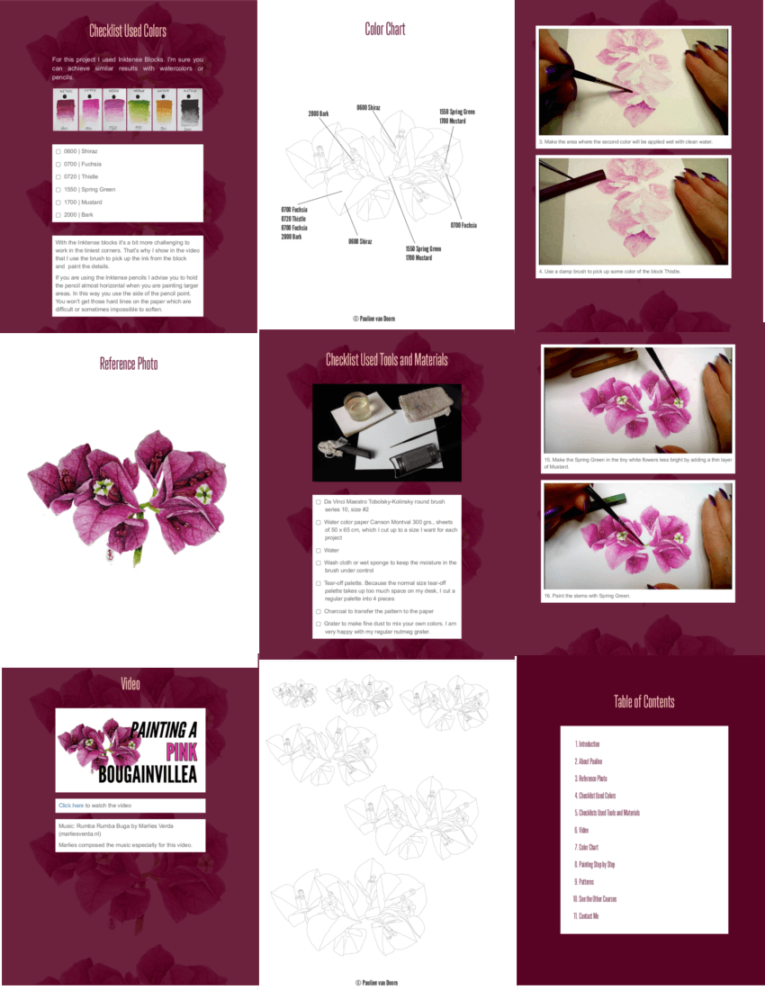 Ebook How to Paint a Bougainvillea
