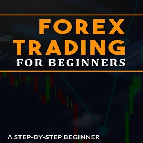 Forex Trading Beginners Guide
