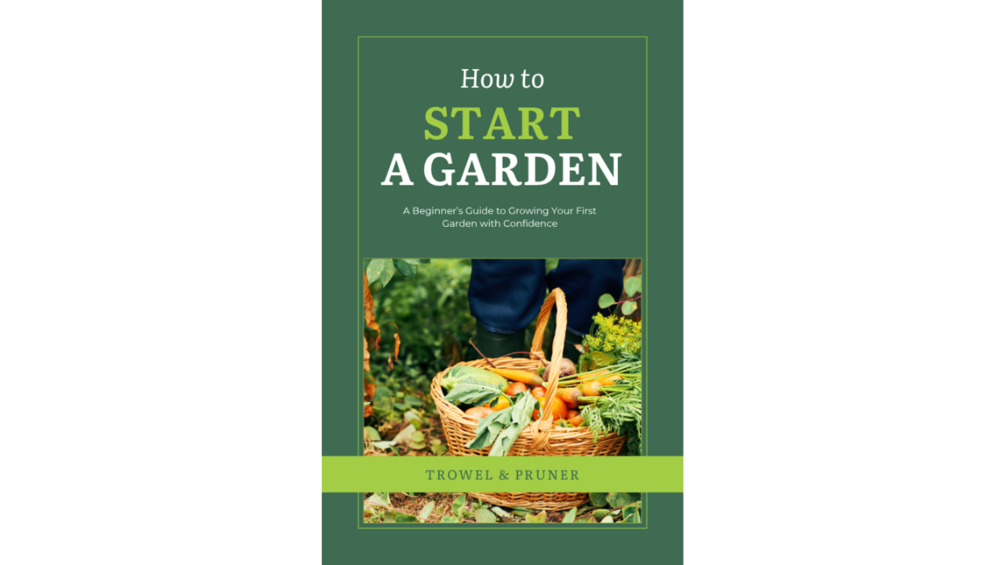 how-to-start-a-garden-a-beginner-s-guide-to-growing-your-first-garden