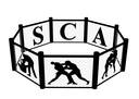 Gumroad profile picture for @sca
