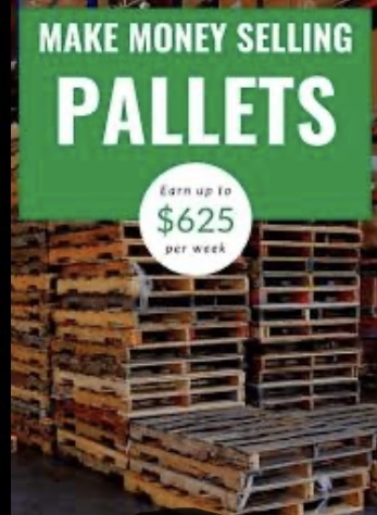 RESELLING PALLETS FOR PROFIT!!!