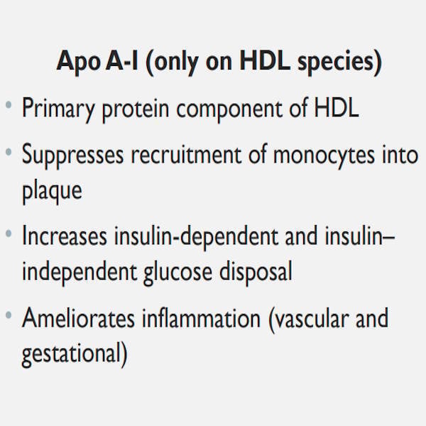 Antony Haynes - Cardiometabolic Markers - NTOI 2026
