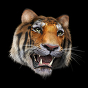 Gumroad profile picture for @warden