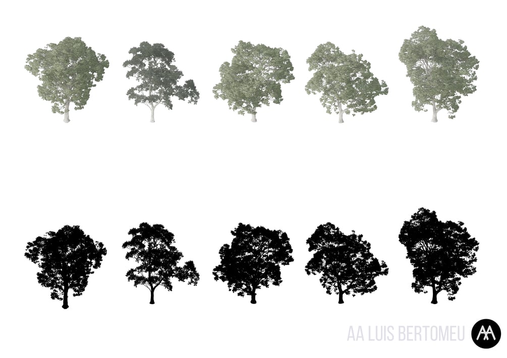 5 HQ + 5 BLACK AXONOMETRIC TREES