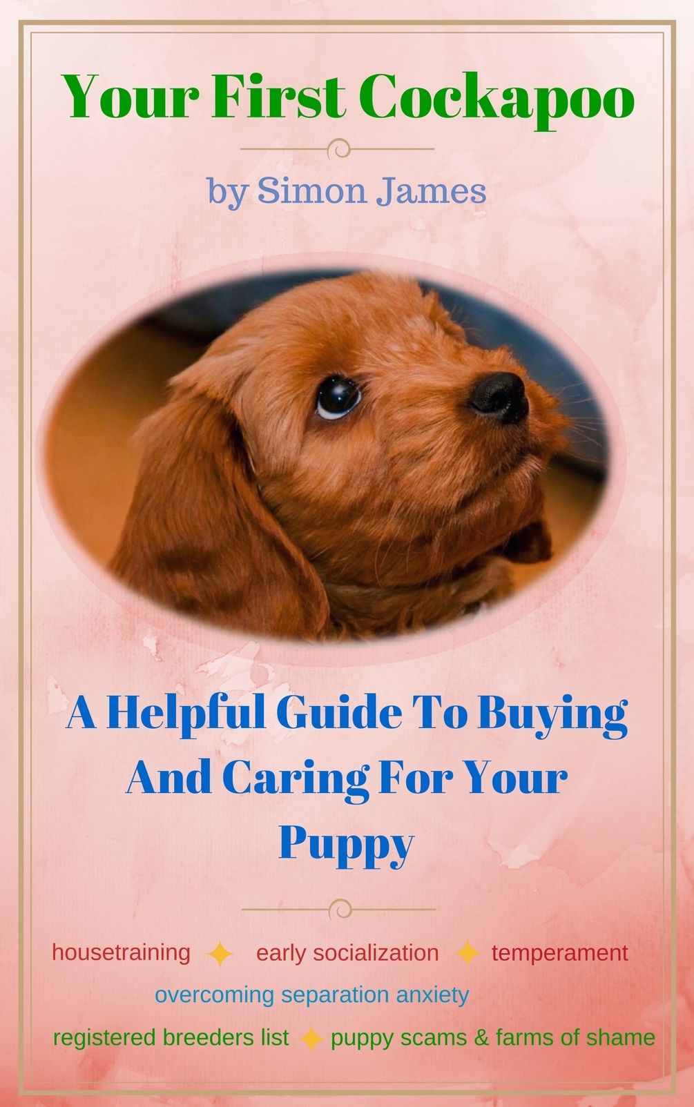 Cockapoo puppy hot sale guide