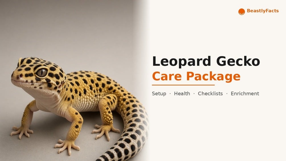 Leopard Gecko Care Package cover, printable PDF owner manual