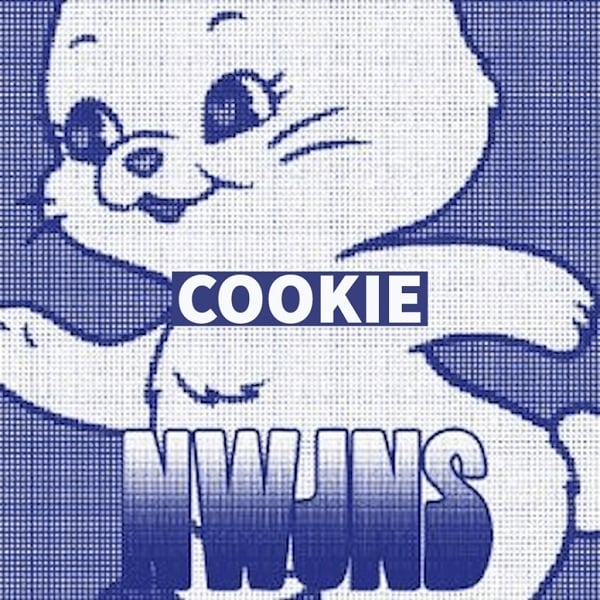 Newjeans Cookie Remake Project