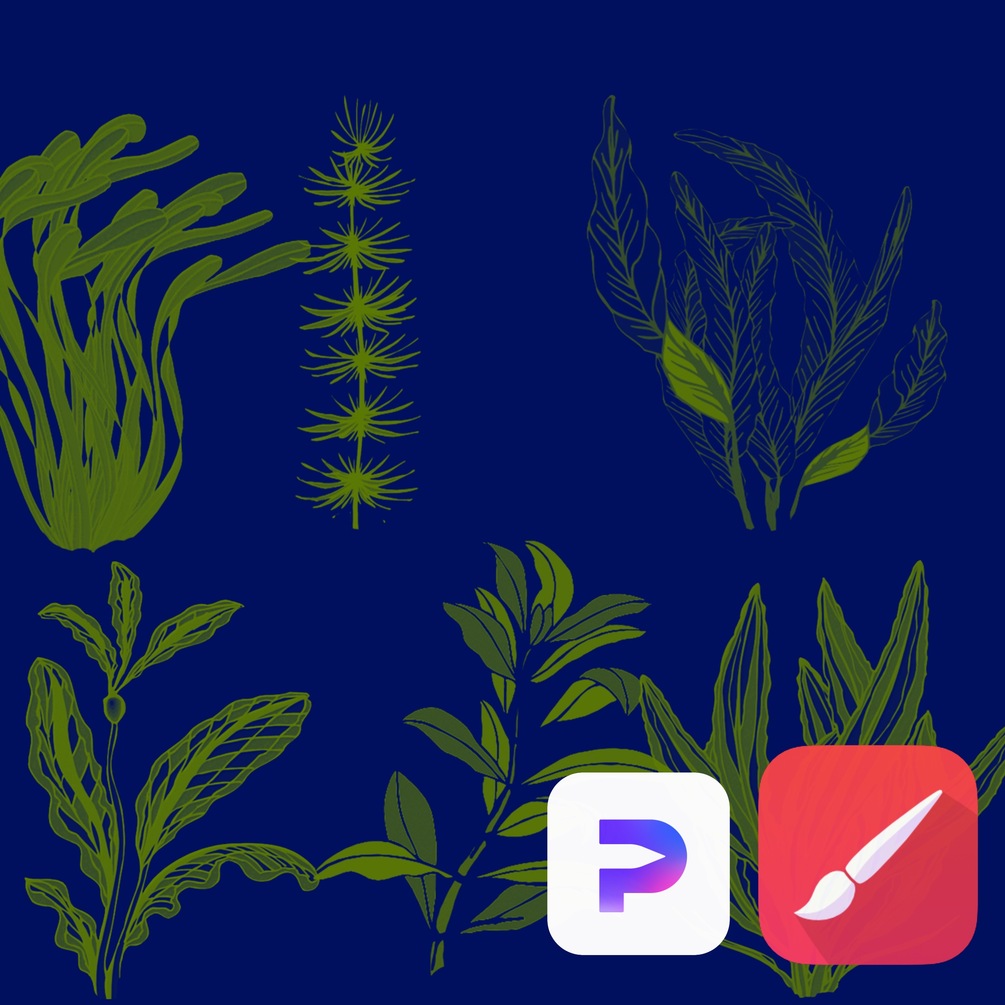Aquatic plants brushes for infinite painter and hipaint