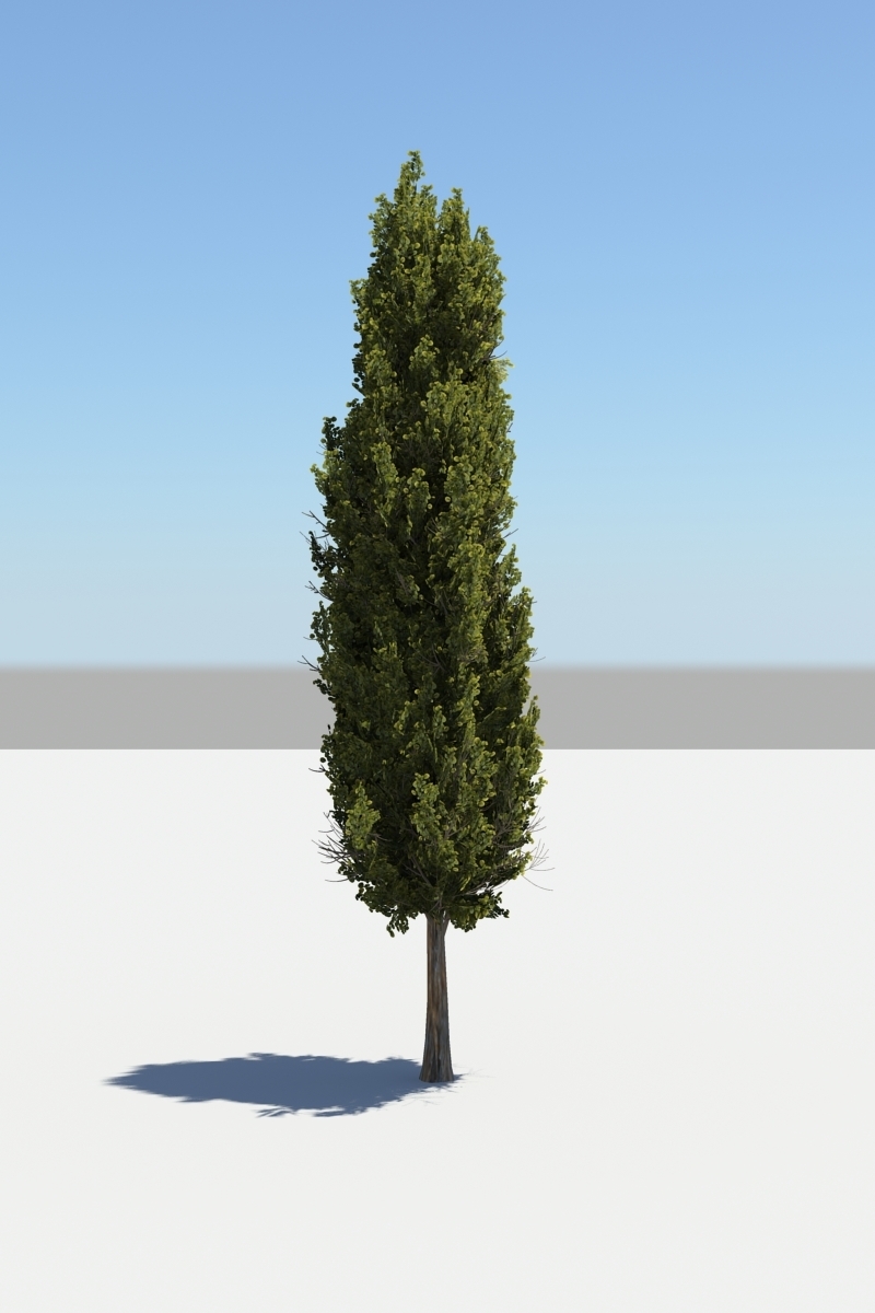 Tree 01 Pack