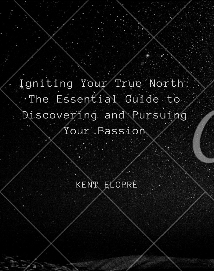 Igniting your true north the essential guide to discovering and
