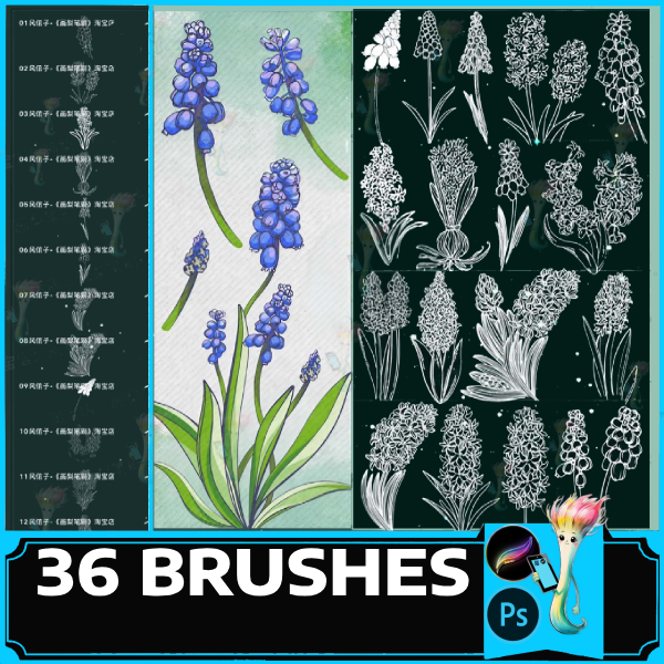 procreate brush ps brush hyacinth line drawing flowers flowers plants flowers clusters hand|painted, hyacinth flowers, photoshop by best procreate brushes