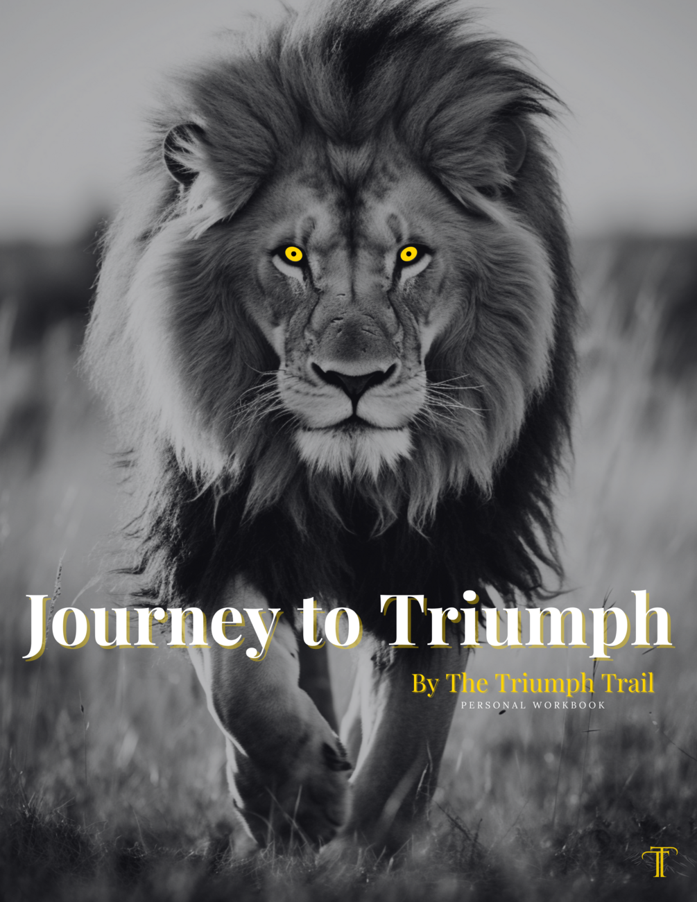 Journey to triumph personal workbook