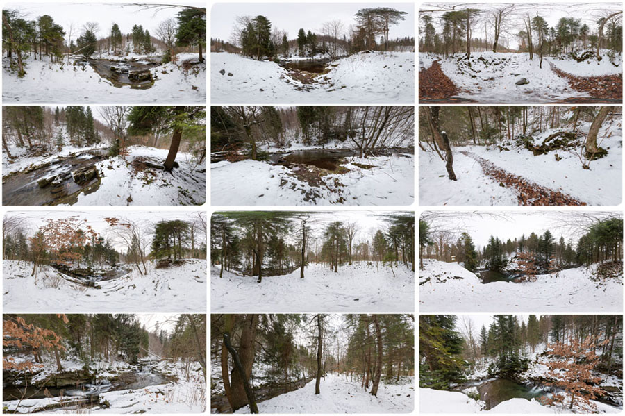 Winter Forest HDRIs Available! (6x HDRI in 30k Resolution