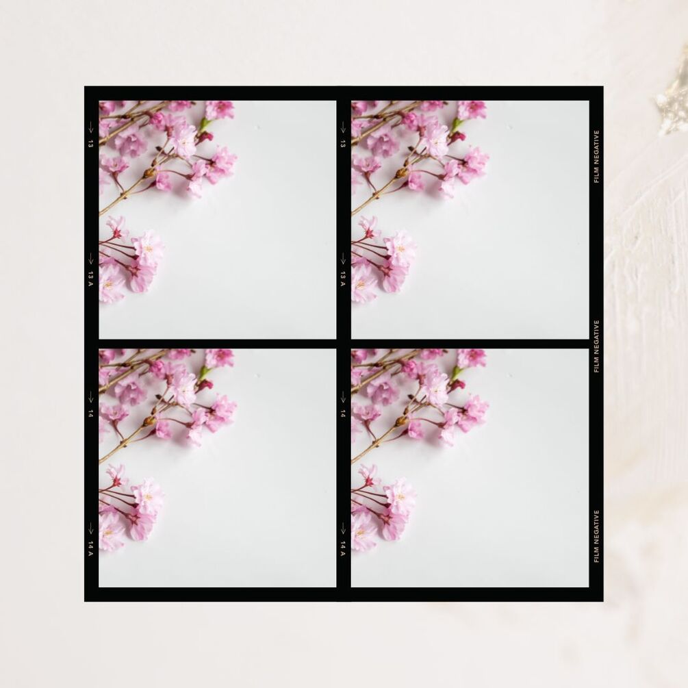 Flowers square type frame