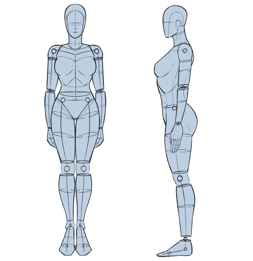 How to Draw Various Body Types and Proportions for Comics