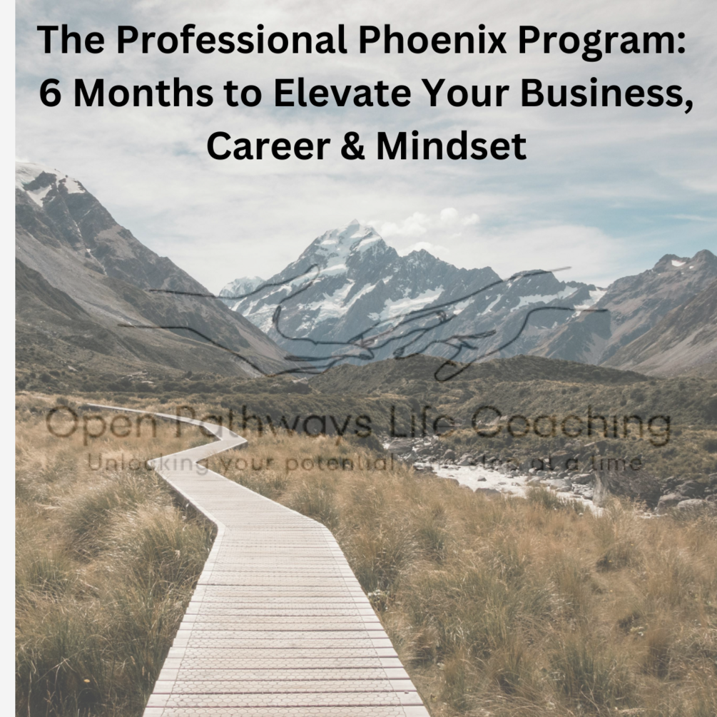 The Professional Phoenix Program: 6 Months to Elevate Your Business ...