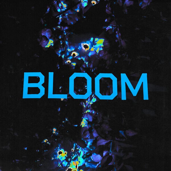 Bloom - Analog Inspired Presets for Ableton Move