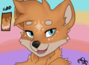 Gumroad profile picture for @leash
