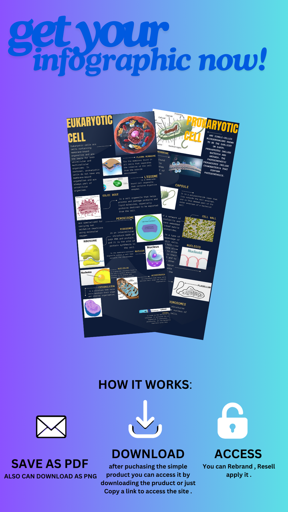Infograpics