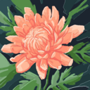 Gumroad profile picture for @benchmarking