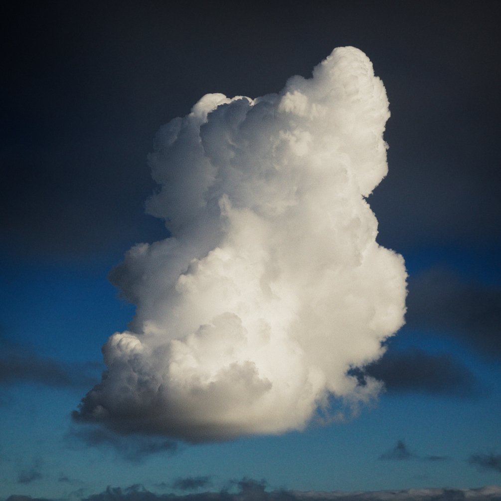 VDB Cloud Pack 1 - Cumulus Congestus