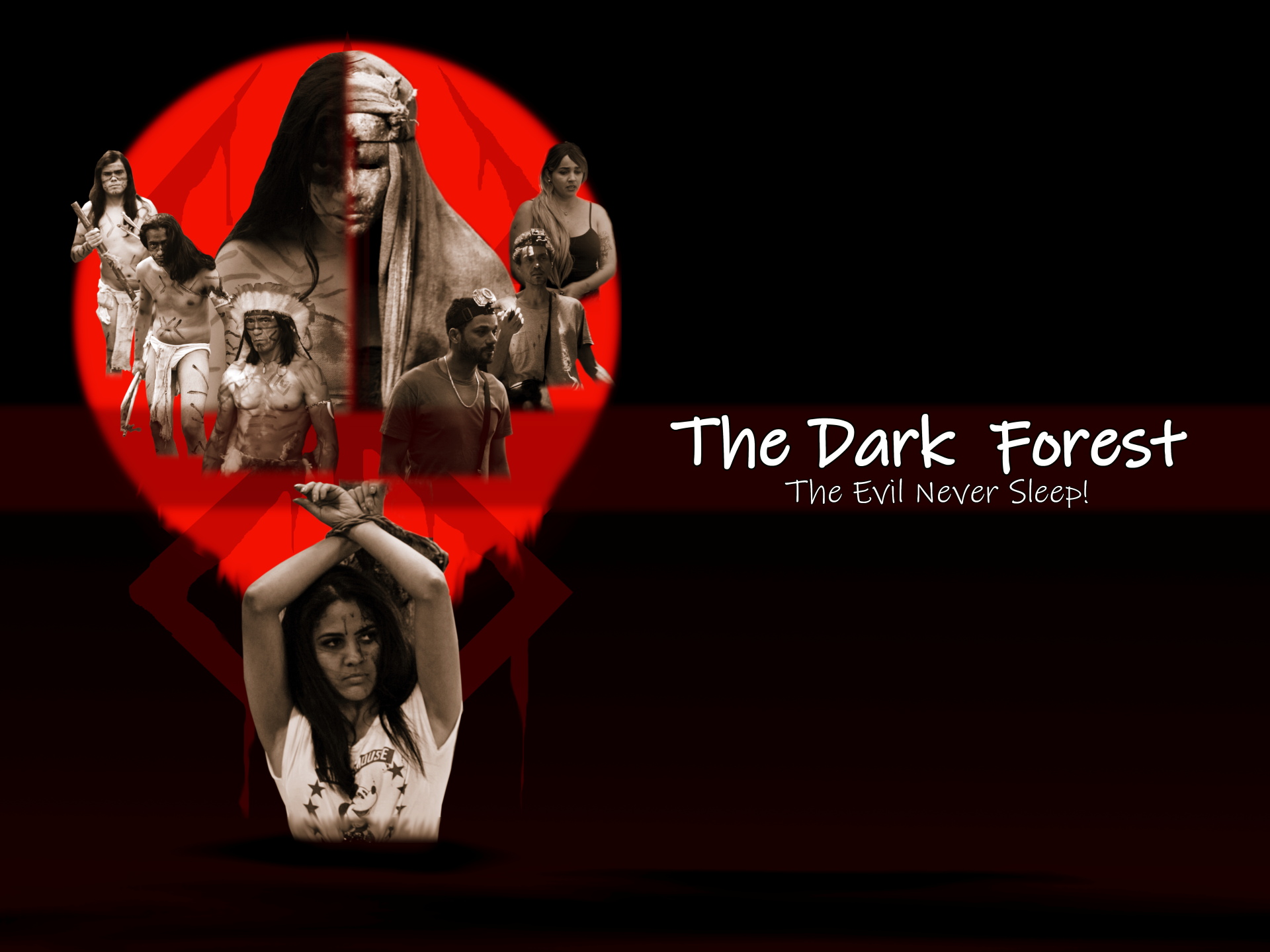 The Dark Forest 2024   3he52zjgvy67msahyr3j78da1rrp