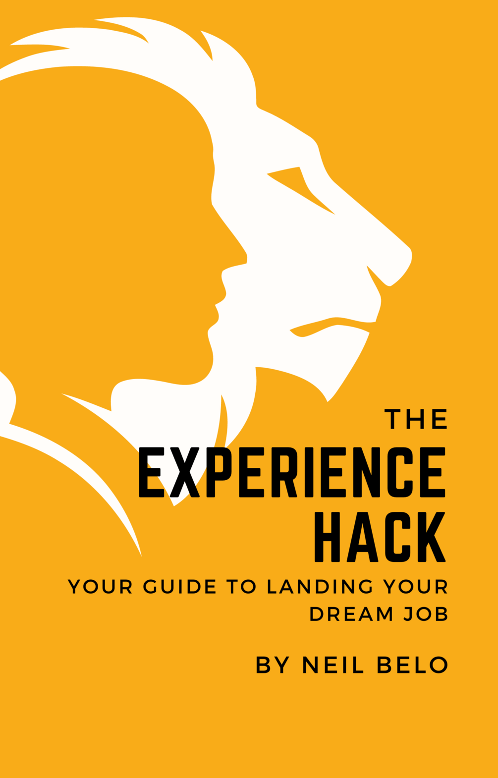 The Experience Hack Your Guide to Landing Your Dream Job