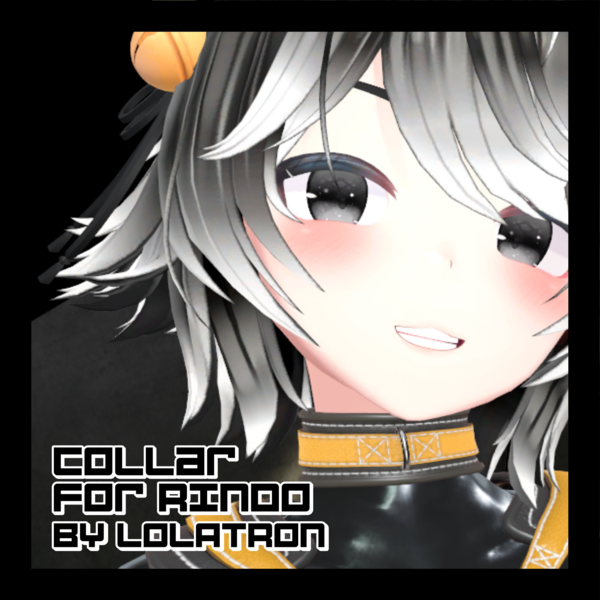 Leather Collar for Rindo