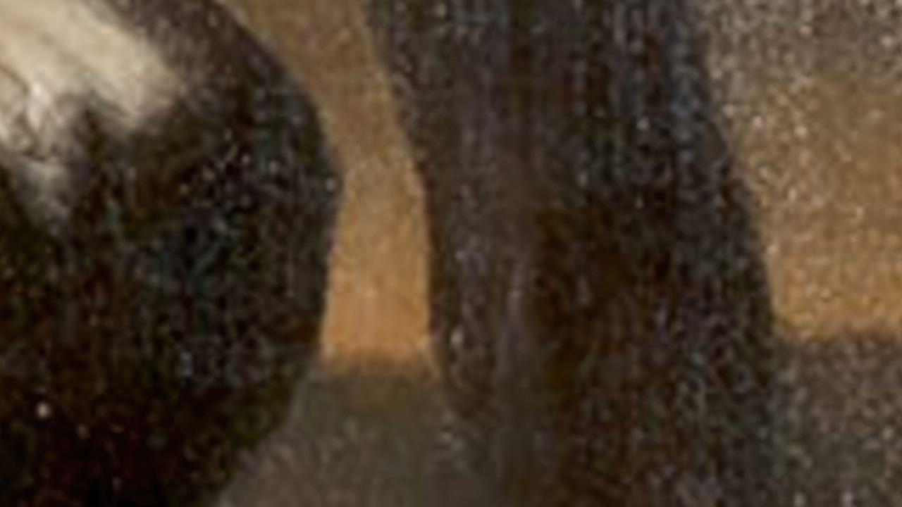 Camillo rospigliosi by Agostino Masucci (1690 1768)