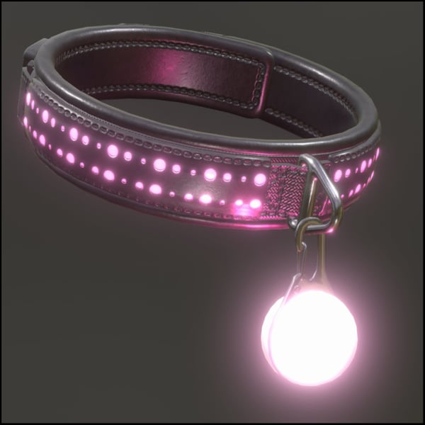 Glowing Collar