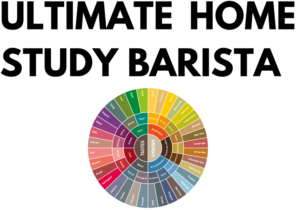 ULTIMATE BARISTA COURSE