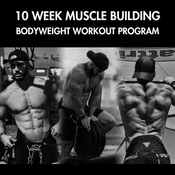 Muscle building bodyweight discount workout