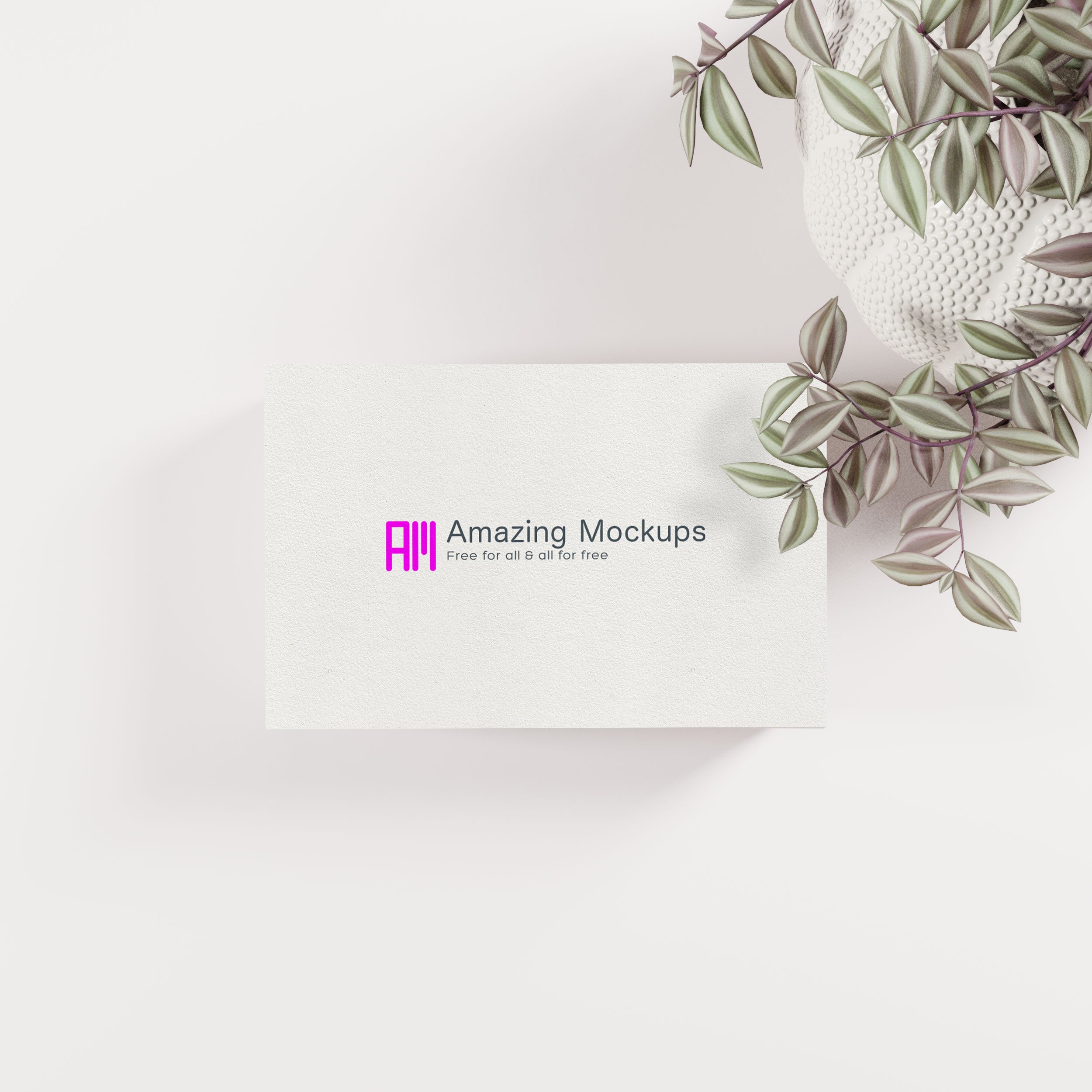 FREE: 5 free business card mockups