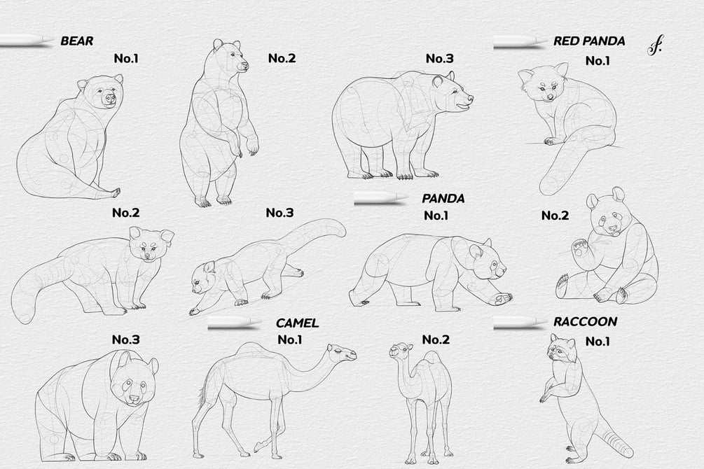 Freya's Wild Animal Drawing Templates