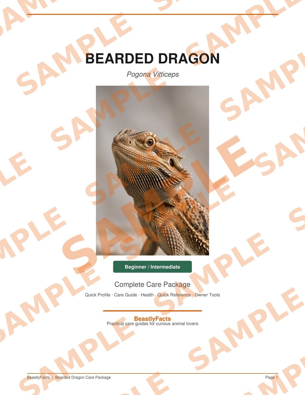 Bearded Dragon Care Package interior page sample
