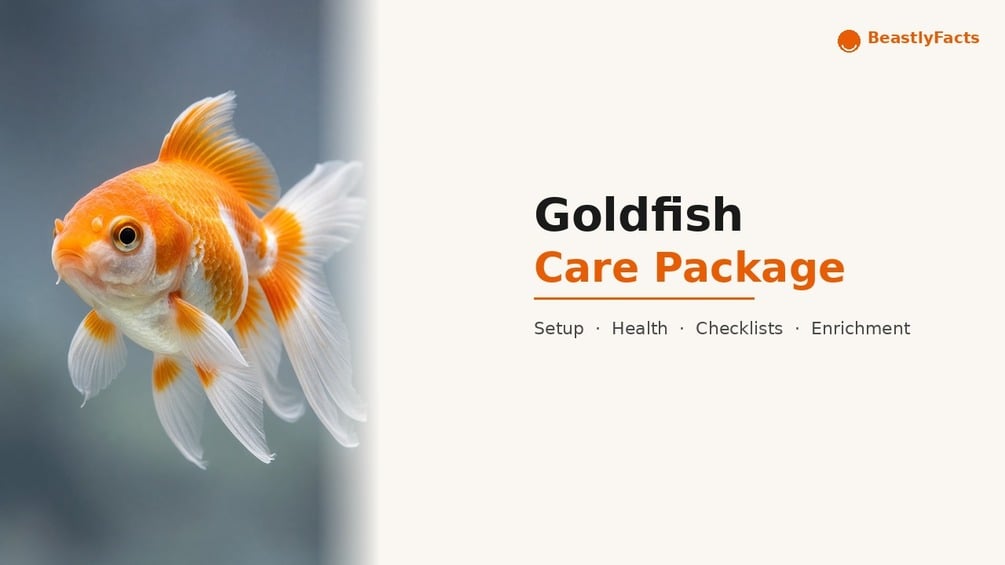 Goldfish Care Package cover, printable PDF owner manual