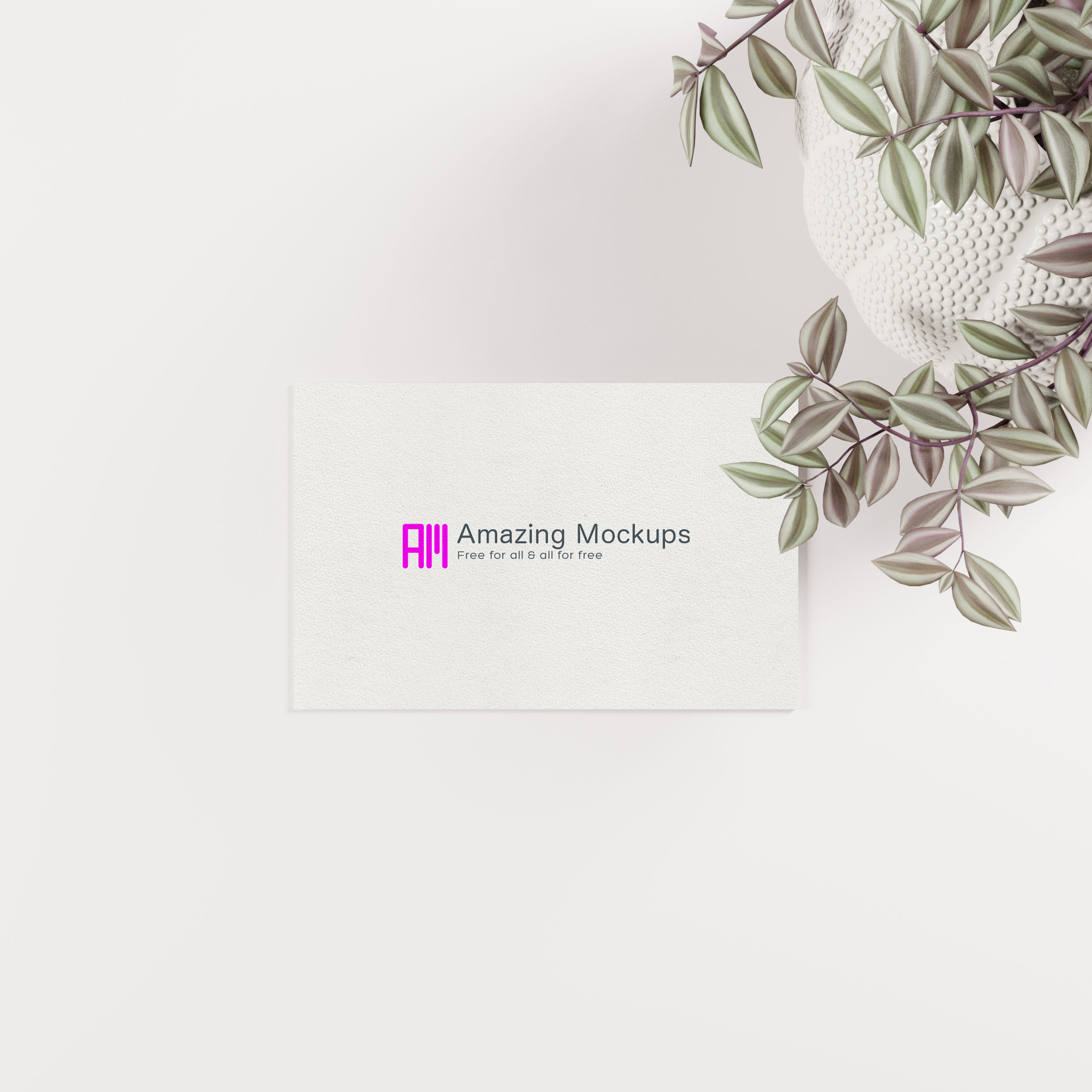 FREE: 5 free business card mockups