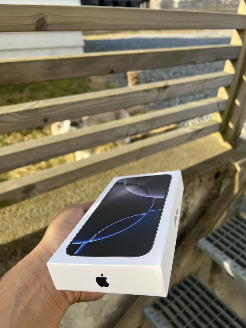 🍏 iPhone vendor access link