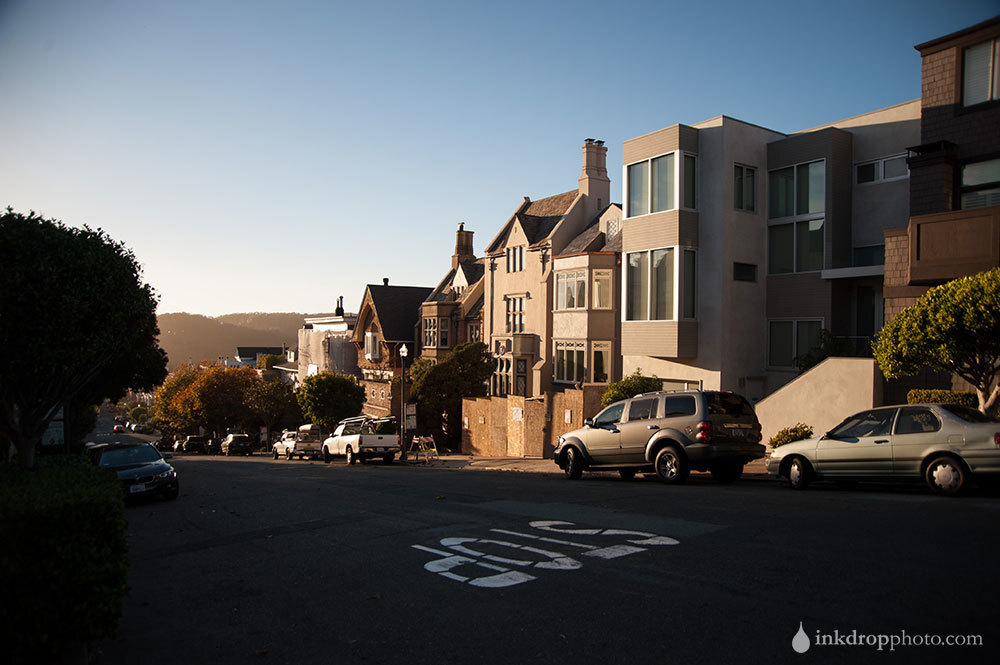 Presidio Park(way) - 04 - Wallpaper