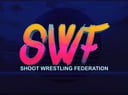 Gumroad profile picture for @swf
